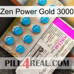 Zen Power Gold 3000 new07